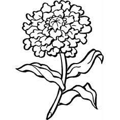 236x236 Carnation Coloring Page Fun Coloring Pages For Kids And Adults