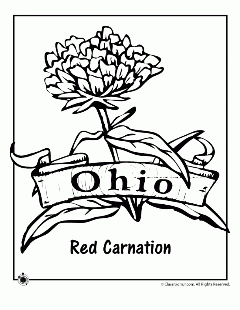 791x1024 Carnation Pink Coloring Page
