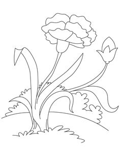 236x306 Flower Page Printable Coloring Sheets Coloring Pages January
