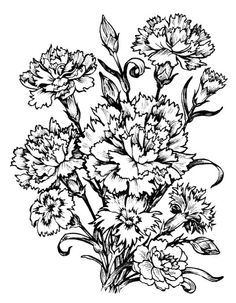 236x303 Digital Two For Tuesday Carnations Printable
