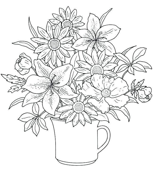 650x722 Flower Coloring Page Carnation Flower Coloring Page Flower Garden