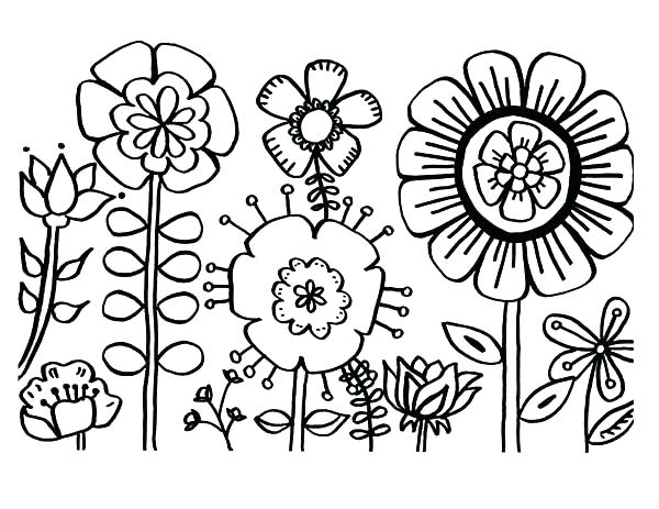 600x463 Carnation Coloring Page