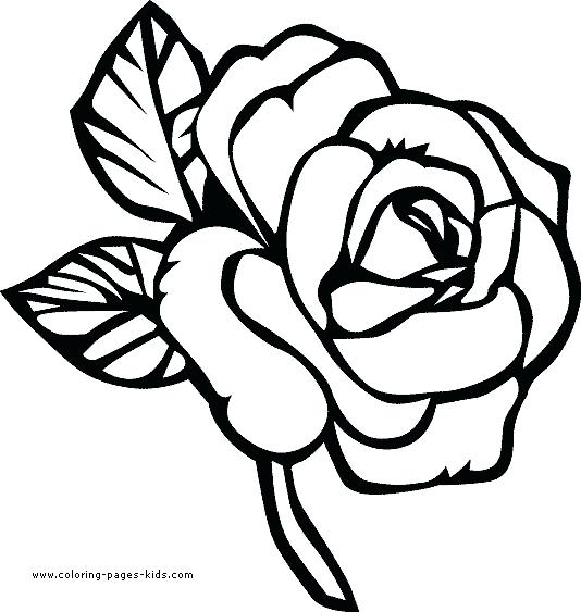 534x563 A Flower Coloring Sheets Cute Printable Flower Coloring Pages