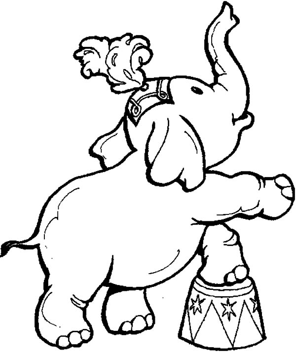 600x714 Circus And Carnival Animal Show Coloring Pages Best Place To Color