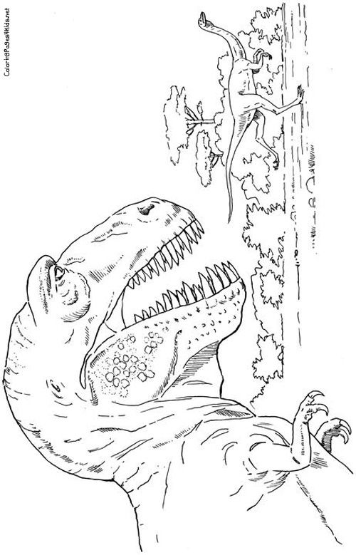 500x779 Tyrannosaurus Rex Coloring Pages Page
