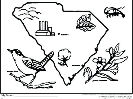 440x330 Carolina Panthers Coloring Pictures As Well As Panthers Logo