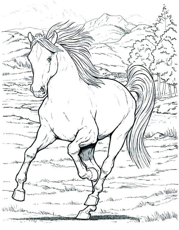 600x771 Coloring Page Horse Carriage Coloring Pages Coloring Page