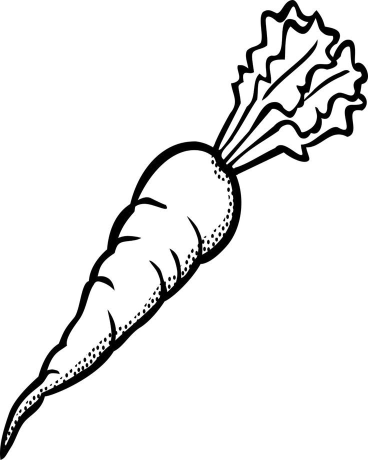 736x920 Free Carrot Coloring Page Kids