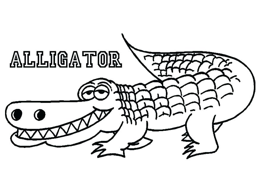 878x659 Alligator Coloring Pages Free Alligator Coloring Pages Printable