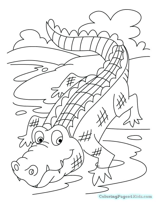 612x792 Alligator Coloring Pages Plus Alligator Therapy Coloring Pages