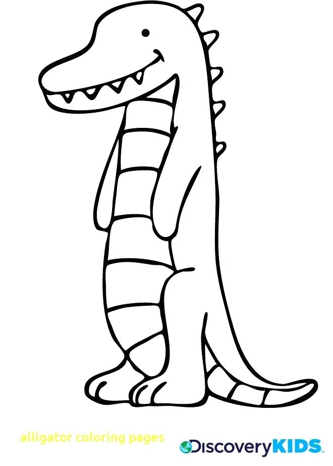 660x922 Alligator Coloring Page Alligator Coloring Page Alligator Coloring