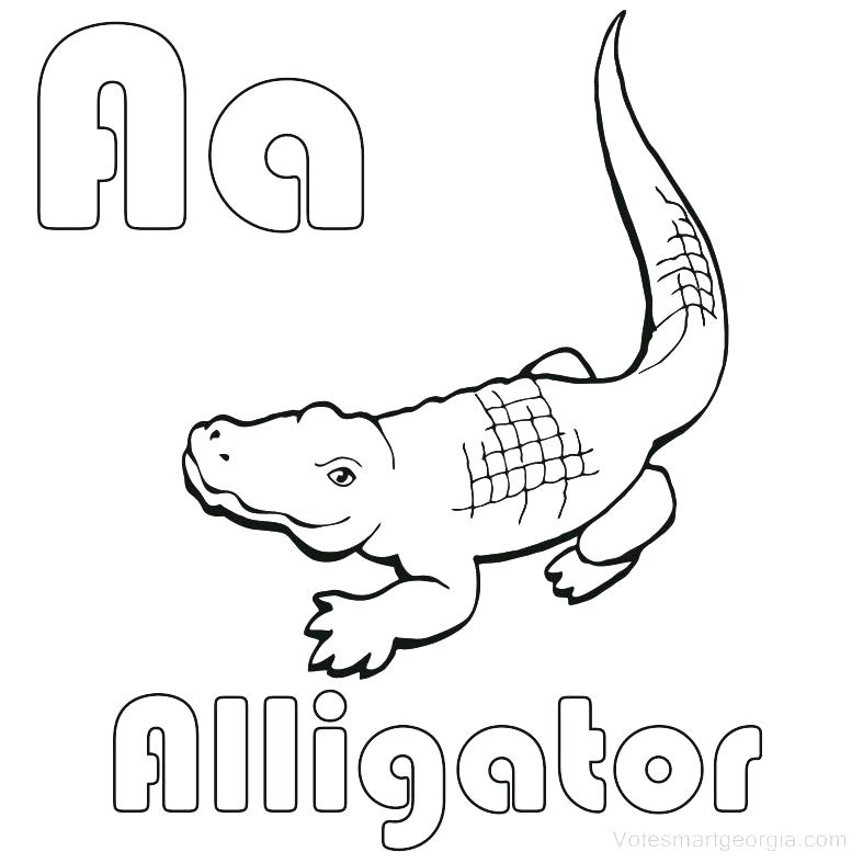 787x787 Alligator Coloring Page Alligator Coloring Page Cool Alligator
