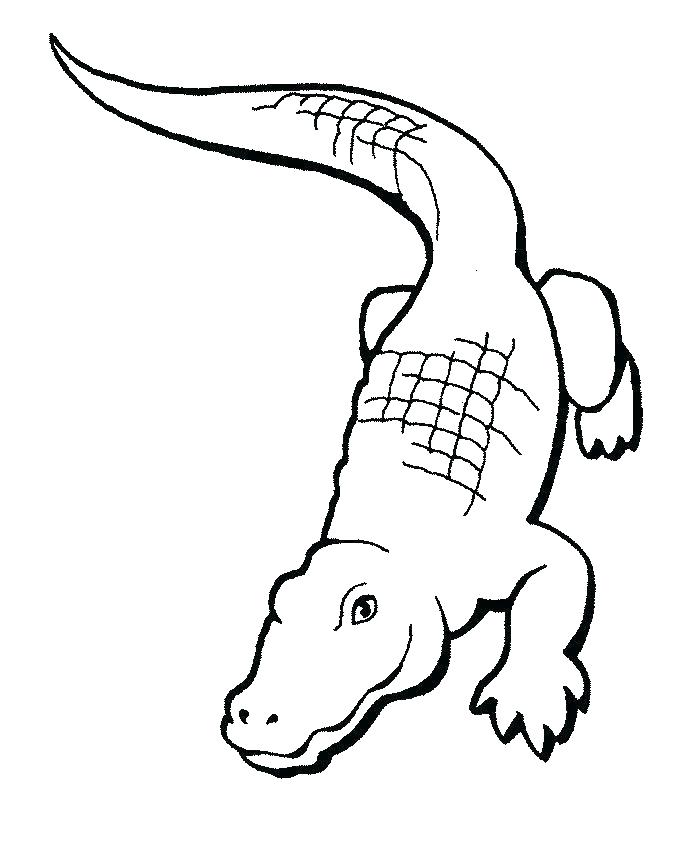 692x863 Alligator Coloring Page Crocodile Coloring Pages Crocodile