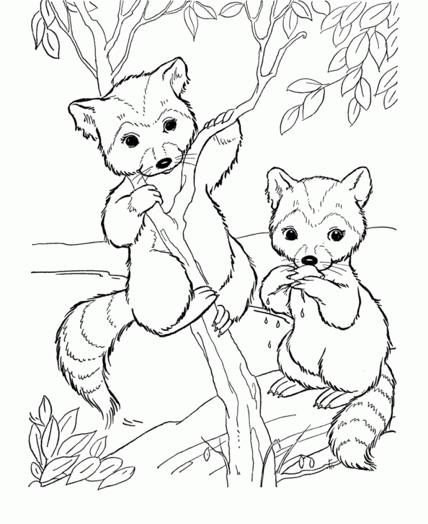836x1024 Awesome Baby Animals Adult Coloring Pages Collection Printable