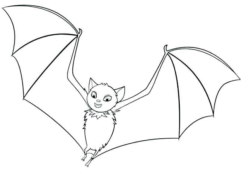 800x571 Bats Coloring Pages Vampire Bat Free Coloring Pages Bats Halloween