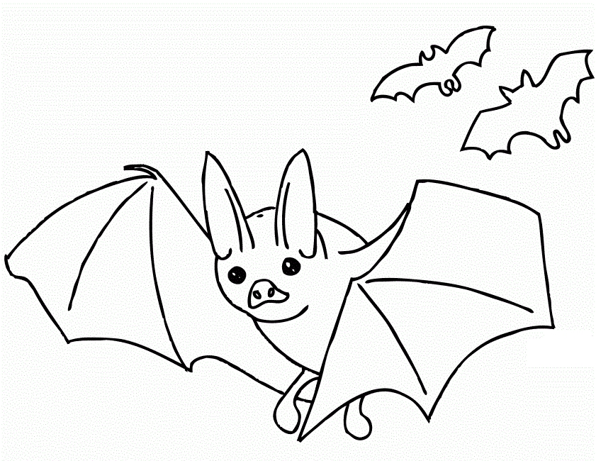841x650 Bat Coloring Pages Pictures Free Coloring Pages