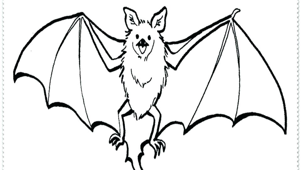 960x544 Free Printable Bat Coloring Pages Realistic Bat Coloring Pages