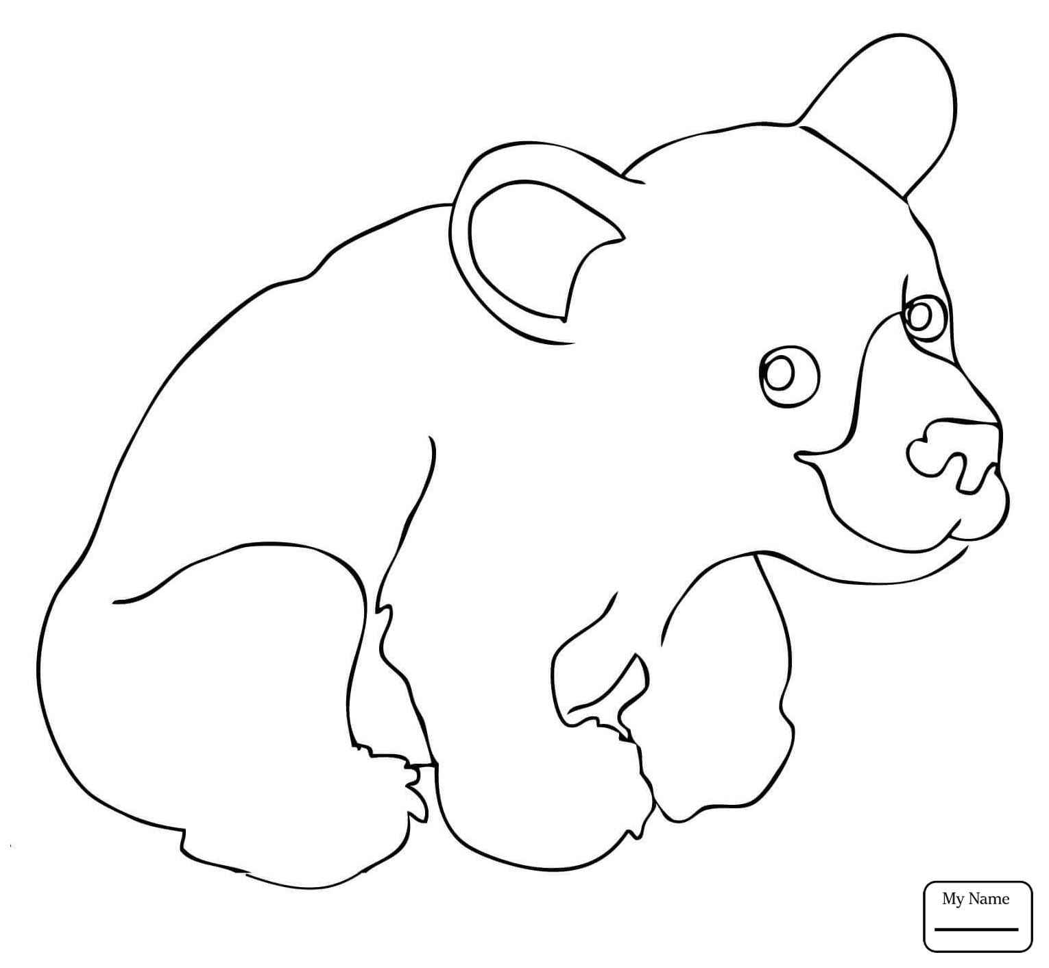1530x1412 Printable Bear Coloring Pages Coloring Page Free Coloring Pages