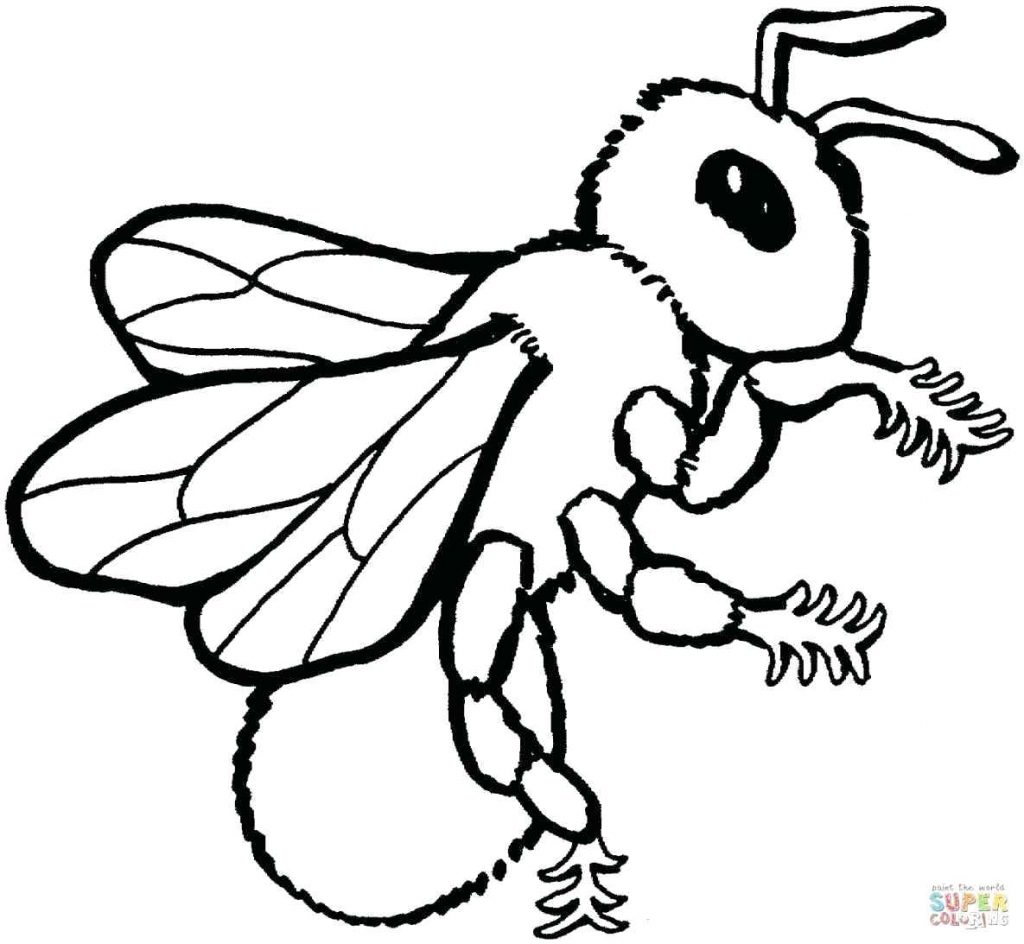 1024x944 Coloring Pages Bumble Bee Coloring Page Excellent Template