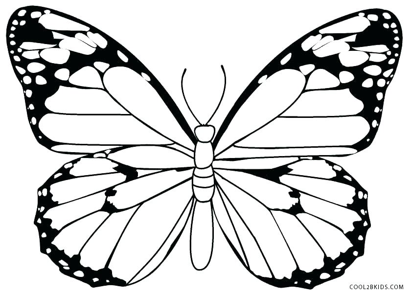 844x603 Coloring Page Of Butterfly Simple Butterfly Coloring Pages Cartoon