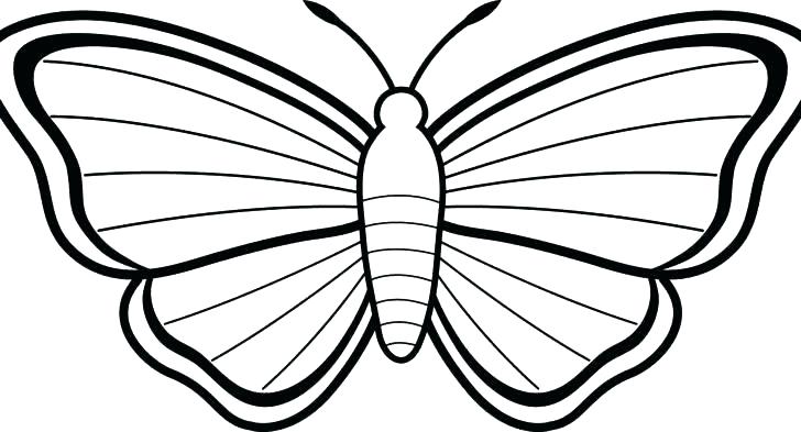 728x393 Monarch Butterfly Coloring Page Monarch Butterfly Coloring Pages