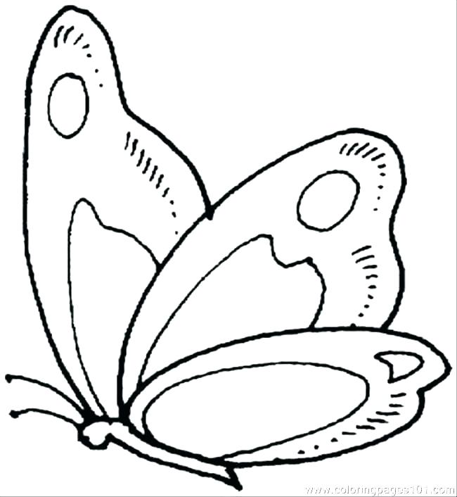650x706 Coloring Pages Of Butterfly