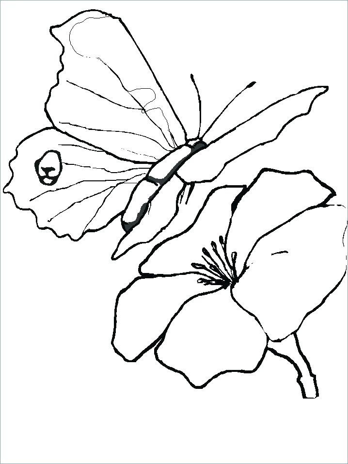 718x957 Butterfly Coloring Pages Butterfly Coloring Pages Best Photos