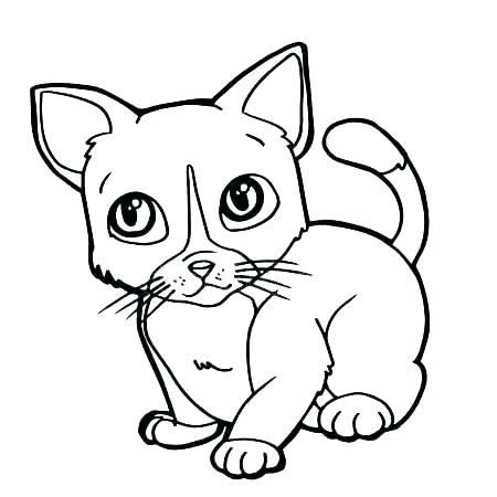 450x450 Cute Cat Coloring Pages Cute Cartoon Cat Coloring Pages Knowgood