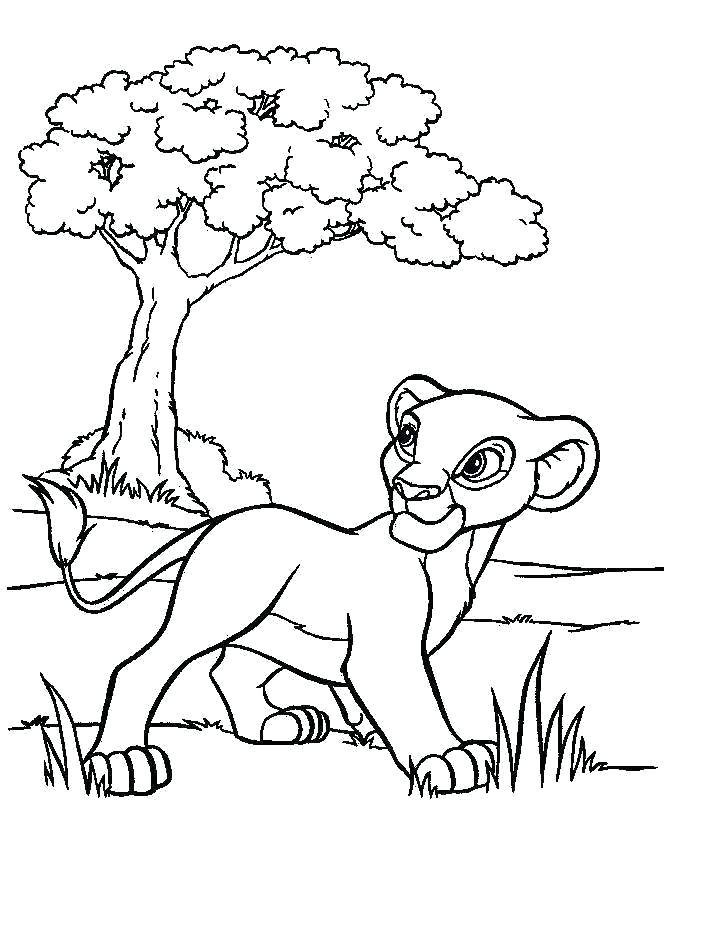 704x946 Cartoon Coloring Pages