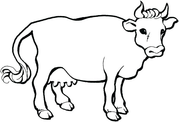 700x478 Cows Coloring Pages Cow Coloring Pages Cow Coloring Pages Free