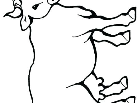 440x330 Cute Cow Coloring Pages