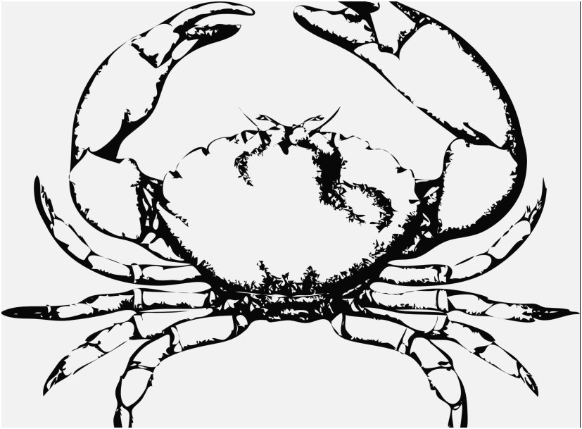 Cartoon Crab Coloring Pages at GetDrawings.com | Free for personal use