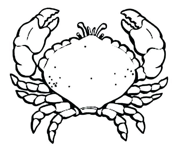 600x514 Free Printable Crab Coloring Pages For Kids Cartoon Crab Coloring