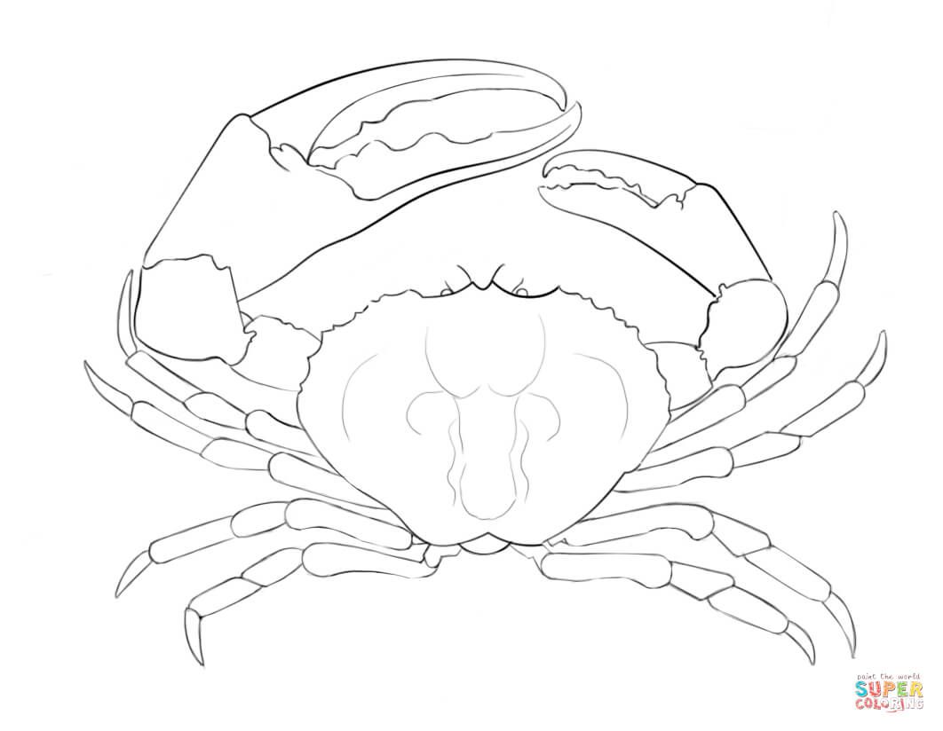 1062x824 Tasmanian Giant Crab Coloring Page From Crabs Category Select