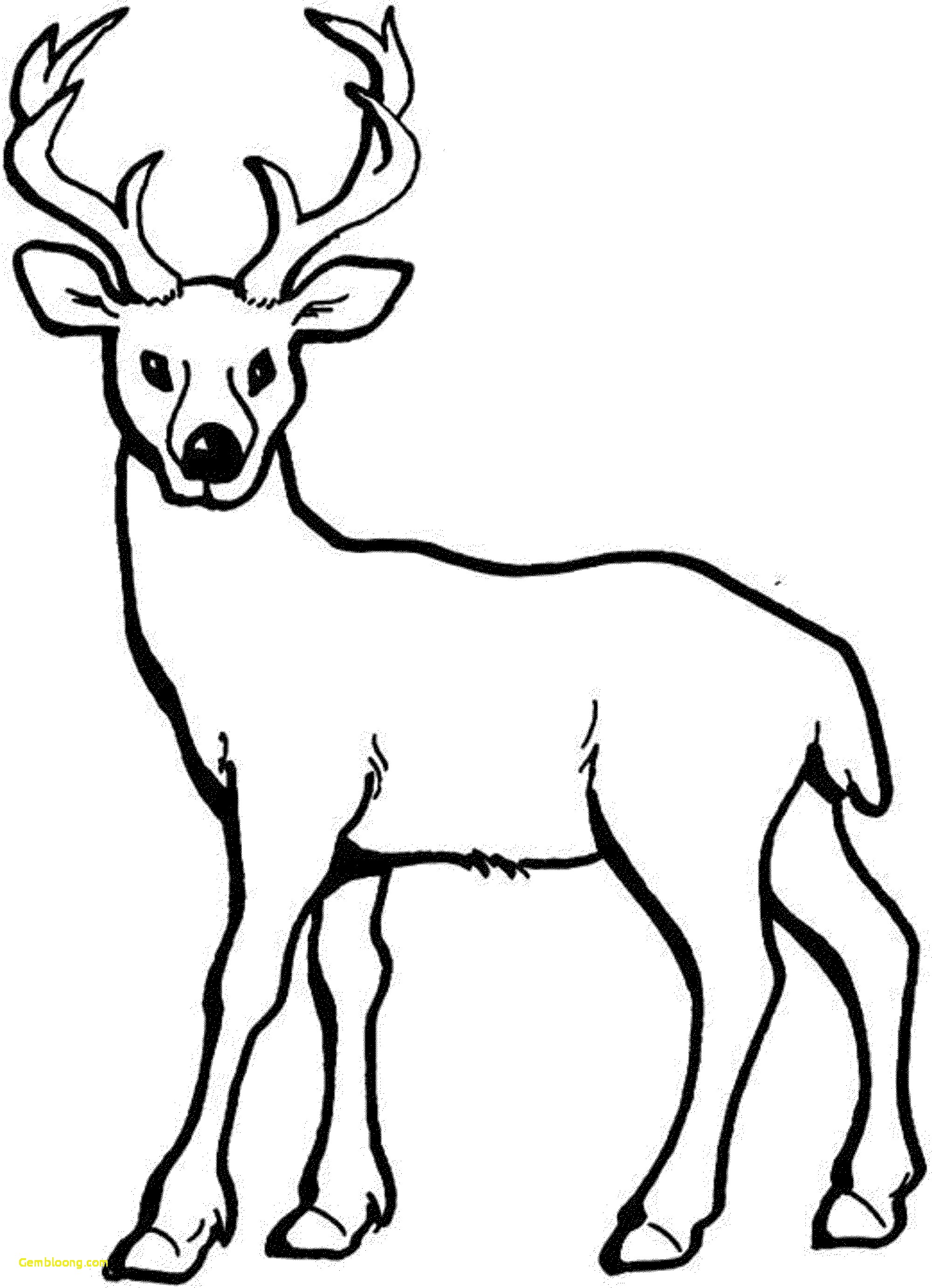 2000x2764 Deer Coloring Pages Trend Baby About Remodel Line Drawings