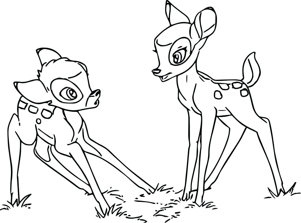 1024x760 Printable Coloring Pages Of Thumper Cartoons Deer Stock Photos