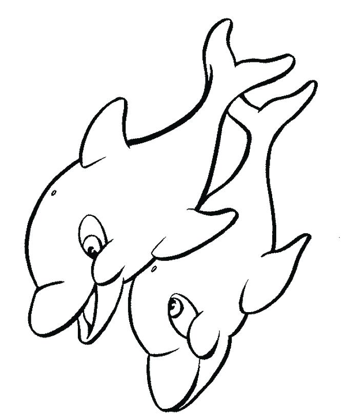 675x817 Dolphin Coloring Pages Dolphin Facts And Information Dolphins