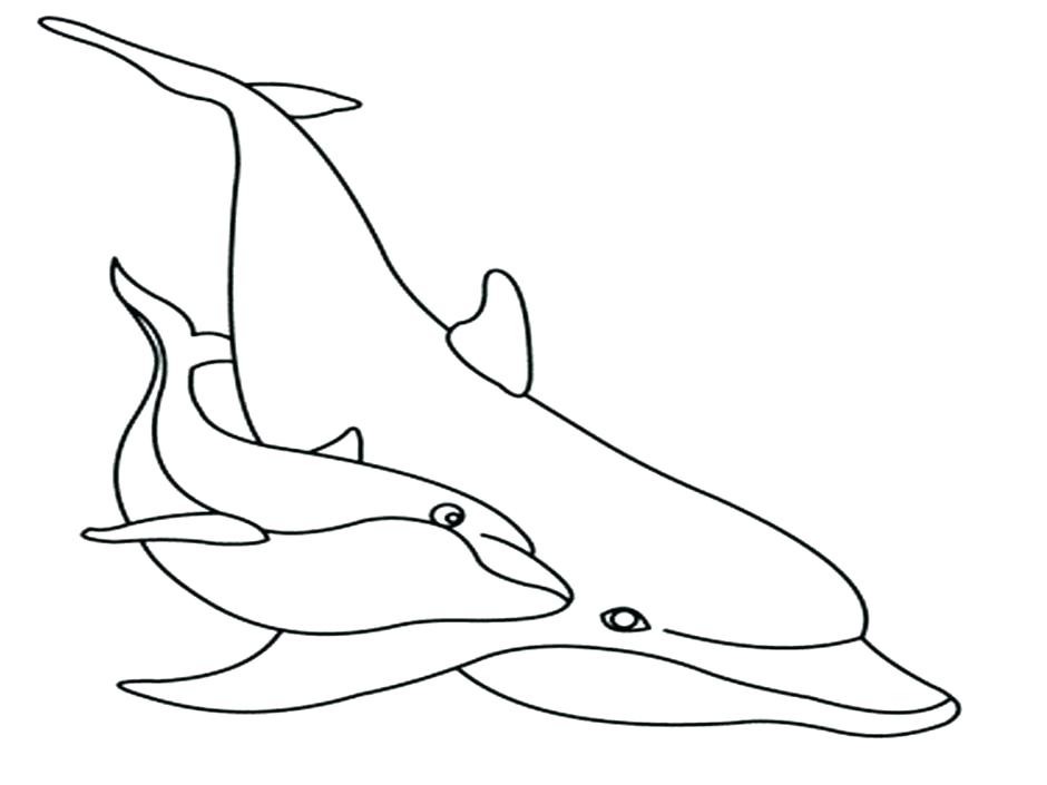 940x705 Dolphin Picture To Color Cartoon Drawing Dolphin Art Library