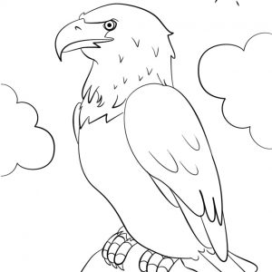 300x300 Coloring Pages American Eagle Best Of Free Printable Bald Eagle
