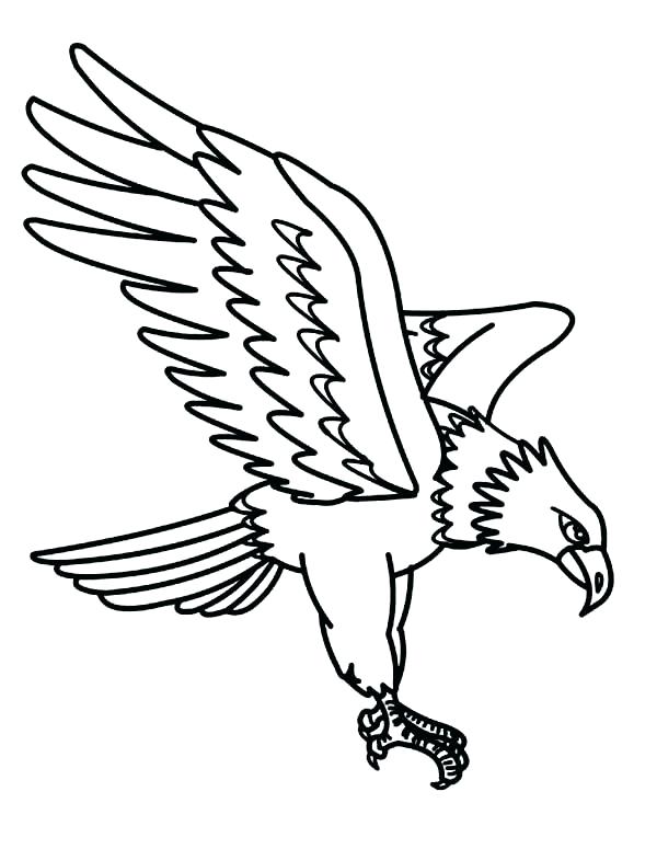 600x775 Eagle Coloring Pages Eagle Color Page North Largest Raptor Golden