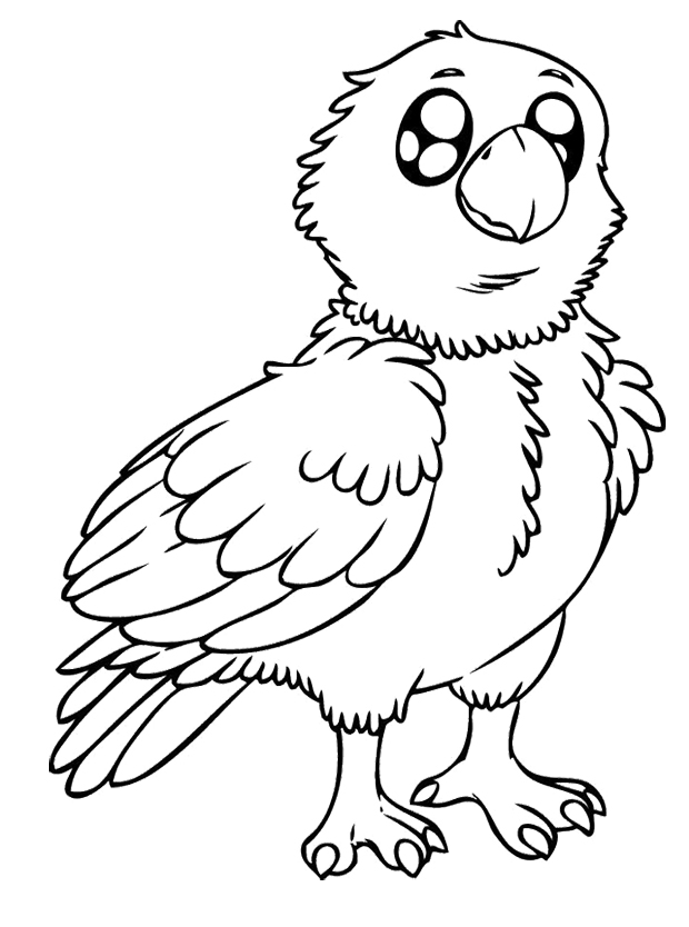 620x834 Baby Eagle Coloring Pages Kids Coloring Pages Eagle
