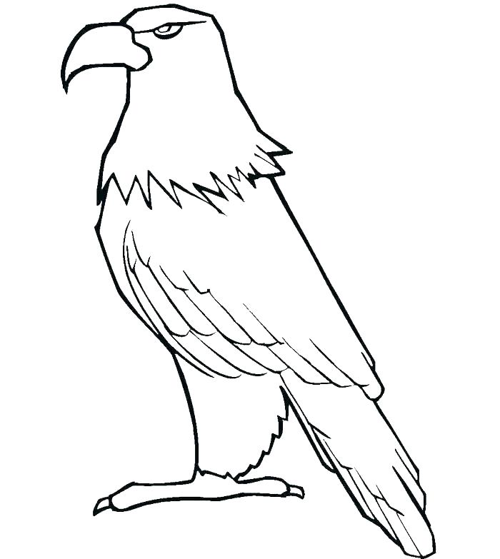 700x783 Eagles Football Coloring Pages Harpy Eagle Colouring Pages Cartoon