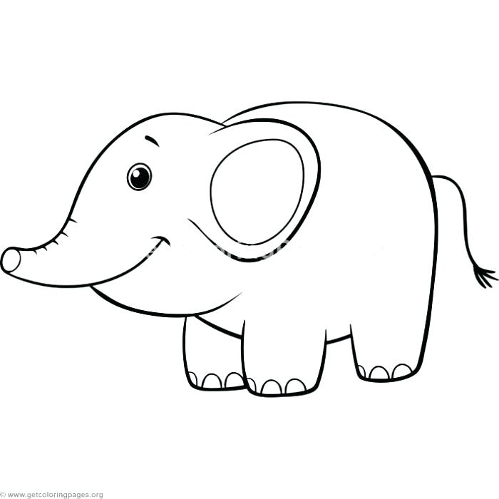 700x700 Elephant Color Pages Elephant Color Pages Cute Elephant Coloring