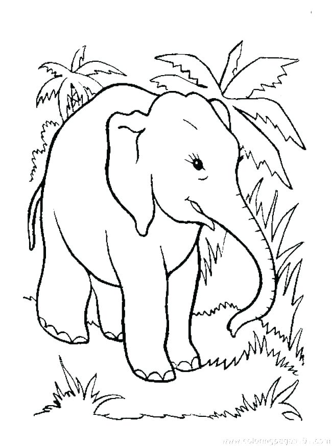 650x873 Cartoon Elephant Coloring Pages Cartoon Of Elephant Coloring Page