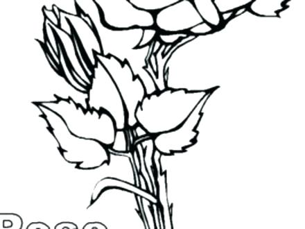 440x330 Coloring Page Of A Rose New State Flower Cartoon Flower Coloring