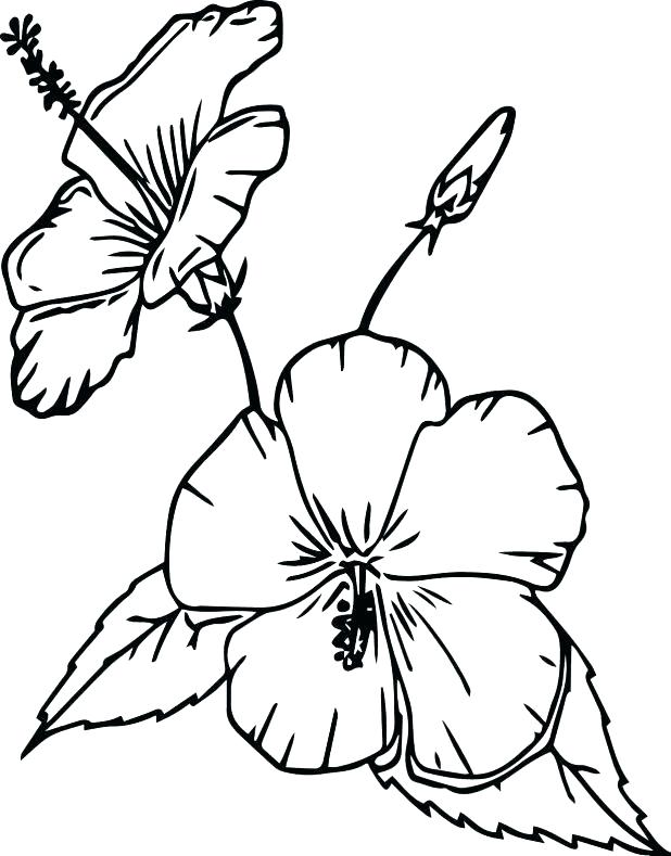 Cartoon Flower Coloring Pages at GetDrawings | Free download