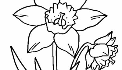 400x230 Unique Rainforest Flower Coloring Pages Collection Printable