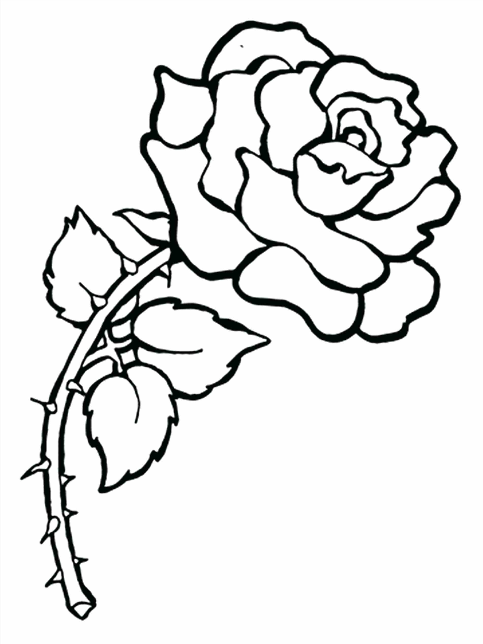 1900x2533 Fresh Realistic Flower Coloring Pages Gallery Printable Coloring