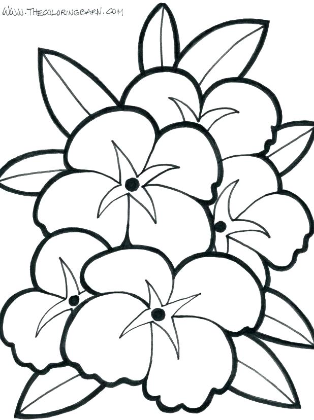 618x828 Cartoon Flower Coloring Pages Free Flowers And Winnie The Pooh