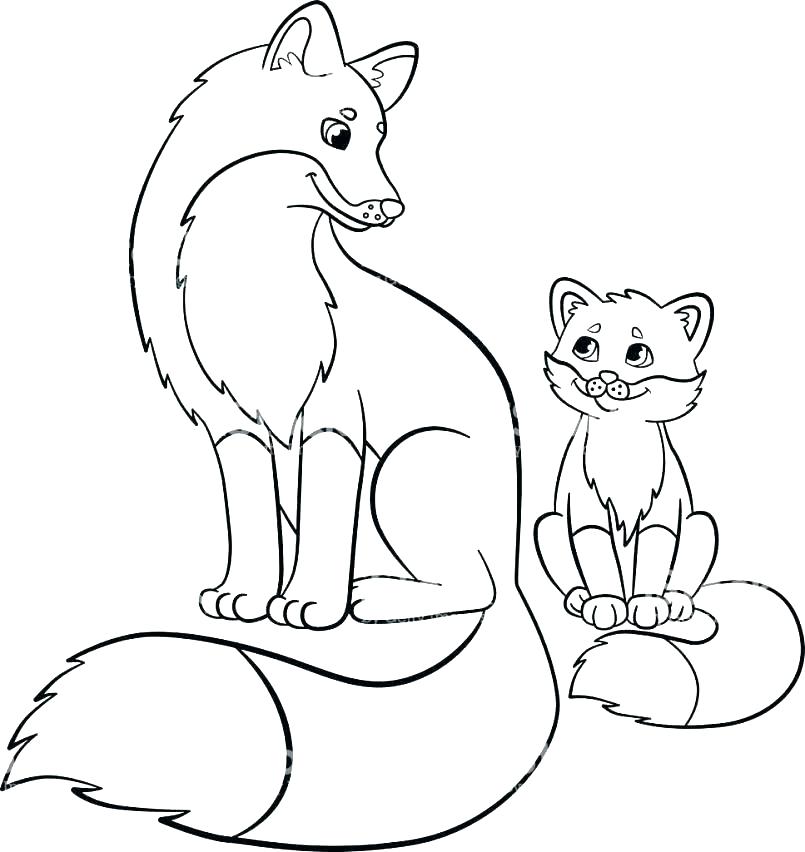 805x852 Red Fox Coloring Pages Red Fox Coloring Pages Coloring Pages